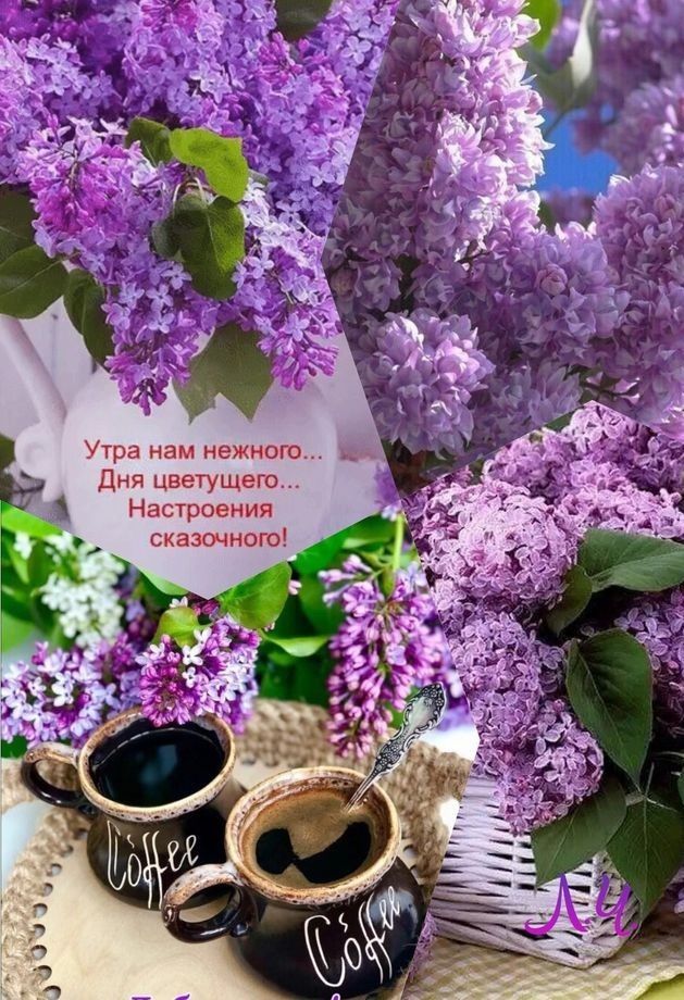 по г 3 а 1 ита Ё Н Пн