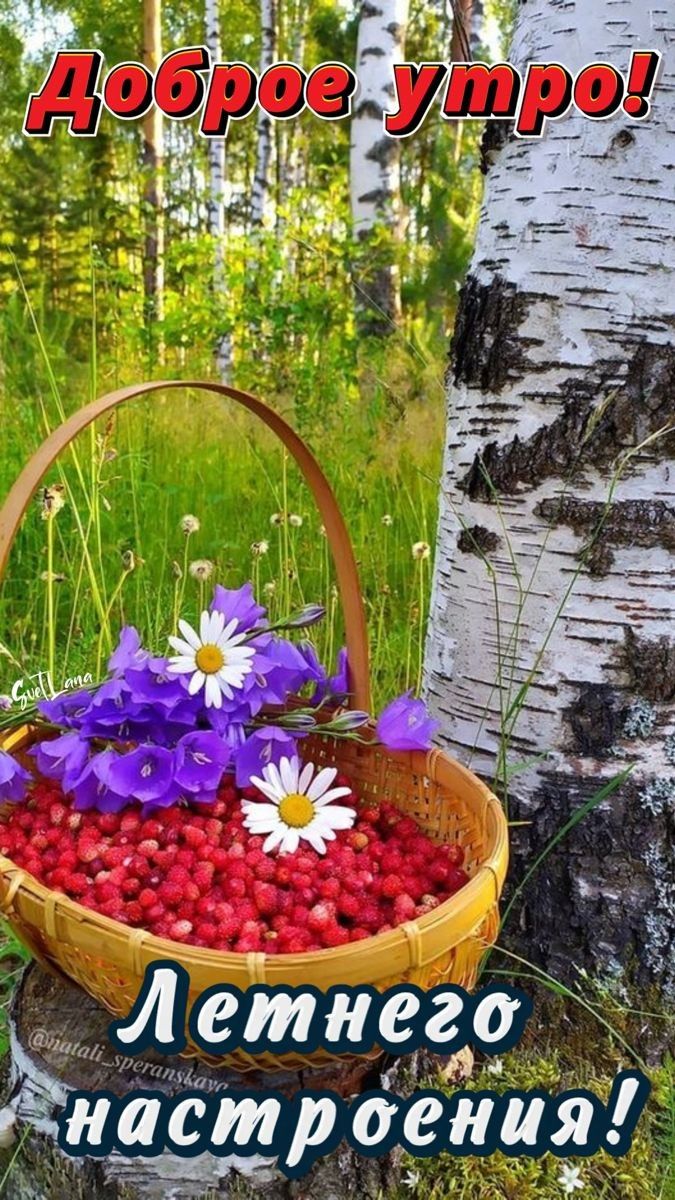 Г дій у ЦФ ъэ Летнего _ встроен ия