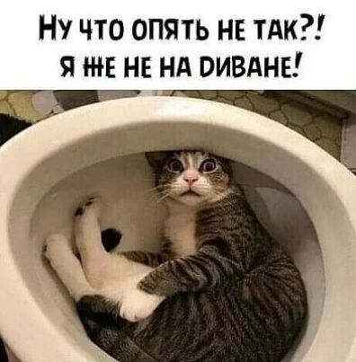 Ну что опять не тАк я тв не нд оивднв