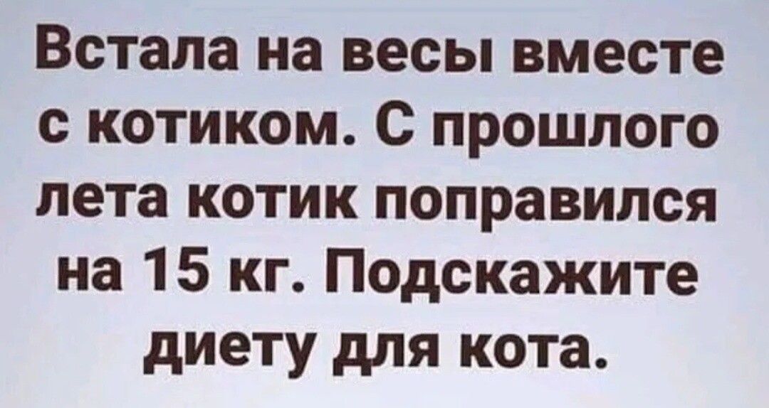 Встала на весы вместе с котиком с прошлого лета котик поправился на 15 кг Подскажите диету для кота