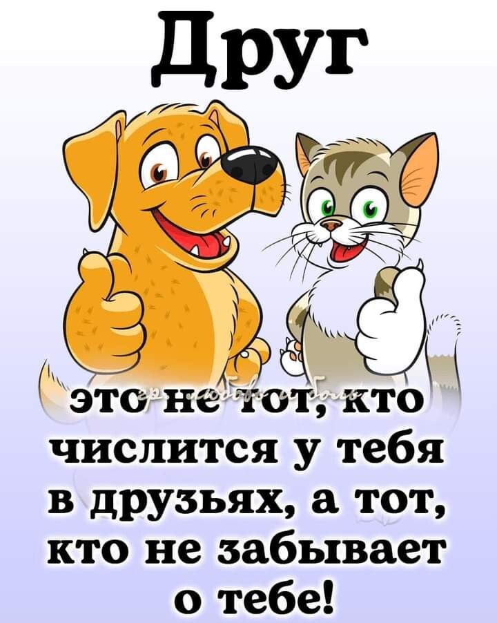 это нет от кто числится у тебя в друзьях тот кто не забывает о тебе