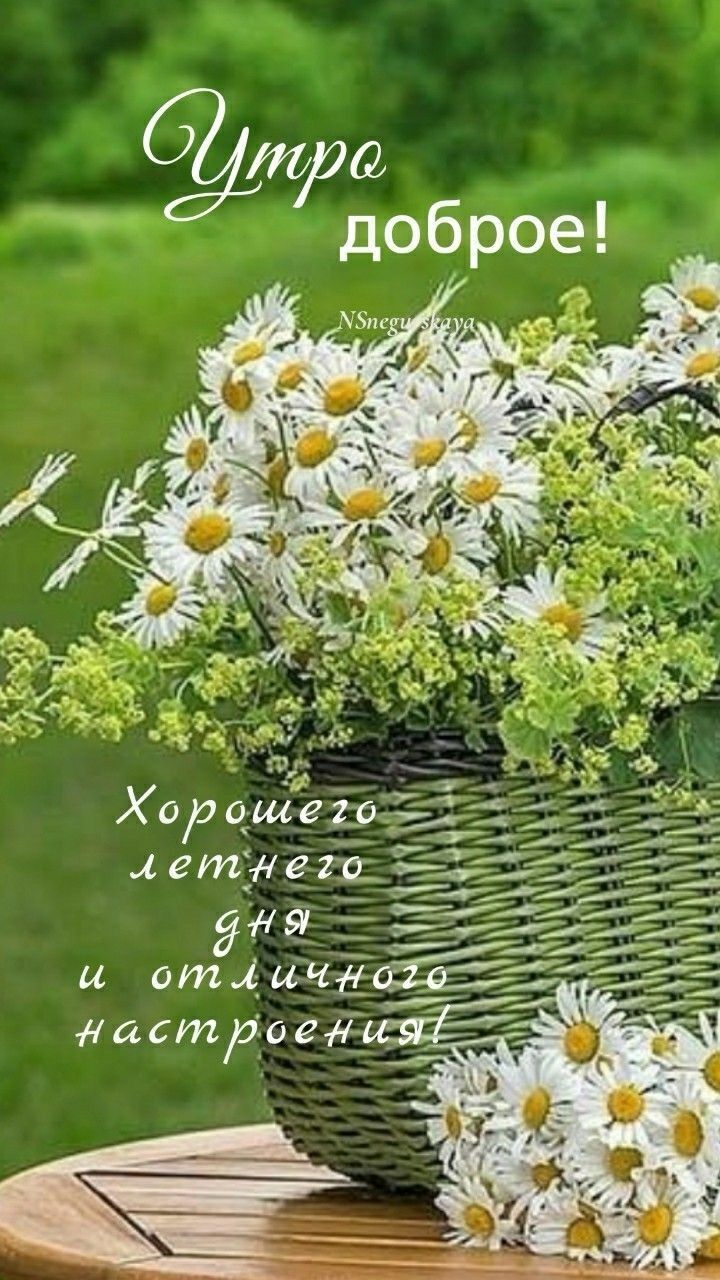 29 Хорцшешб цетідегіщ