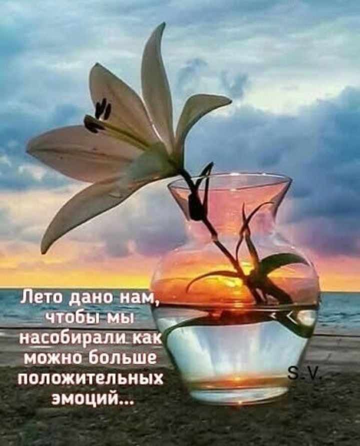 ивжиб Ббльшв положительных эмоций