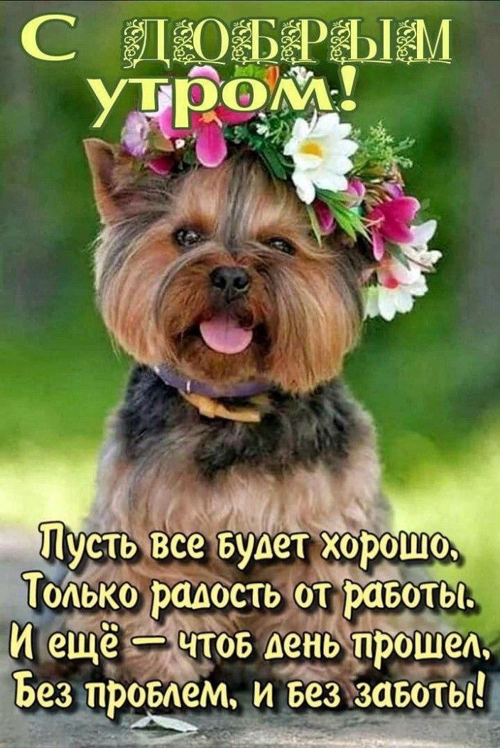 ТоЁко радость оЙЁоты И еЩёЁЁЁОБ дейёійдэдшел Ёез провдем и 533 завбтЫЫ чъШа _