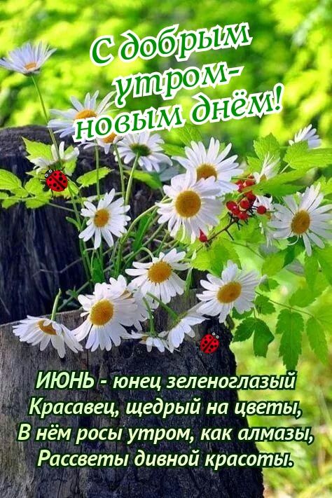 Красавец щедрый на цзётьі В нём росы утром как алмазы Ч Рассветы дивной красотьі Щ