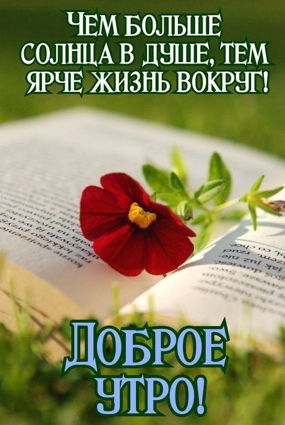 ЧЕМ БОЛЬШЕ СОЛНЦА В ЛНШЕ ТЕМ ЯРЧЕ ЖИЗНЬ ВОКРНГ