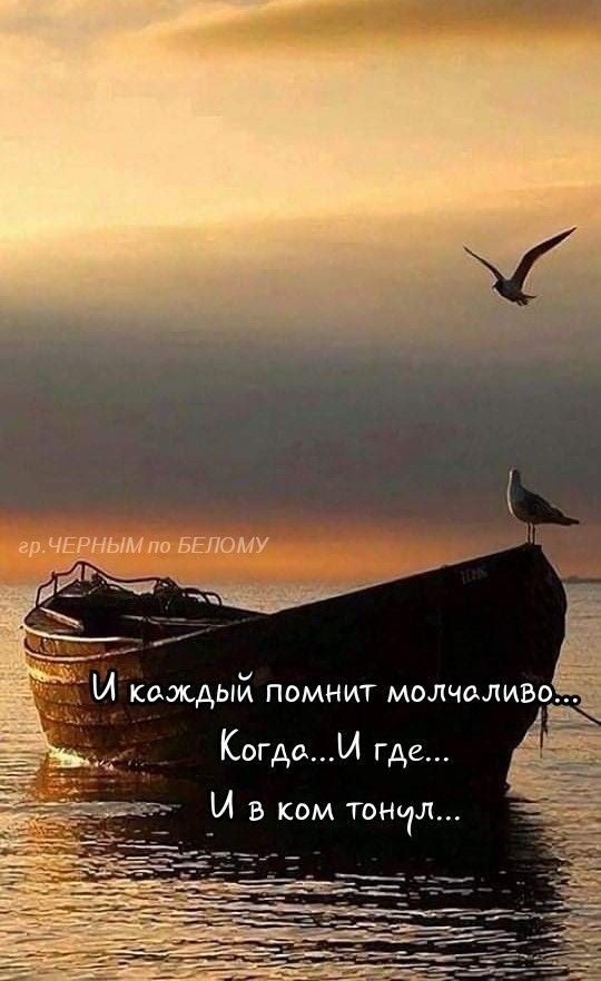 ц дегтя Когдаы где И в ком тончл