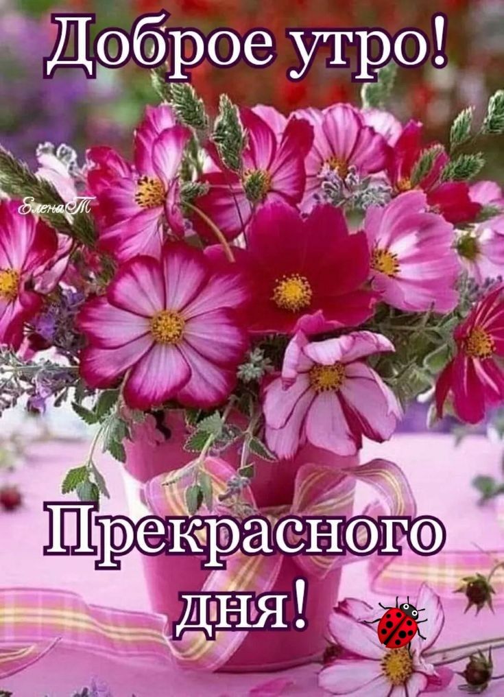 зй 6 0 До ъ
