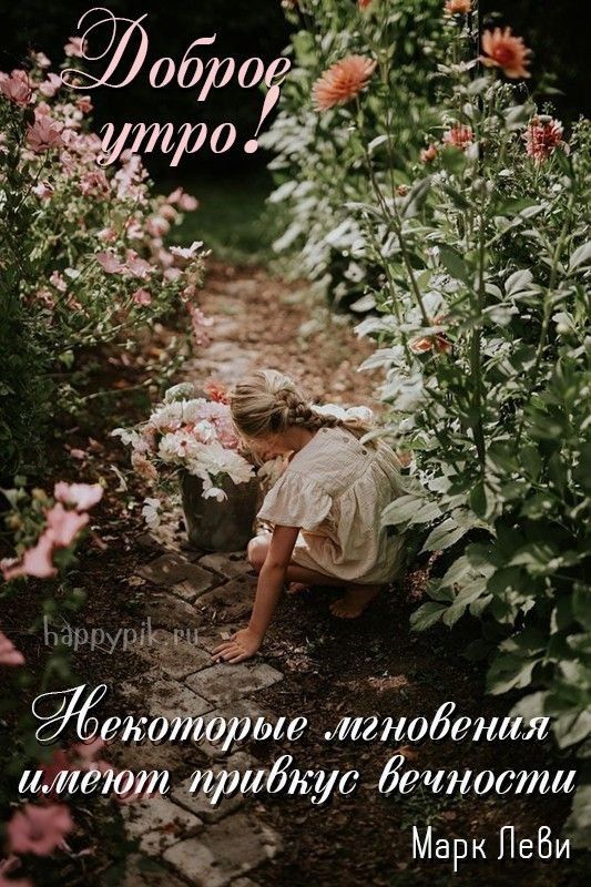 Ыррурдціъё ые мгнобенйа фжбкус Ёмкости __ 3 Марк ПеБи