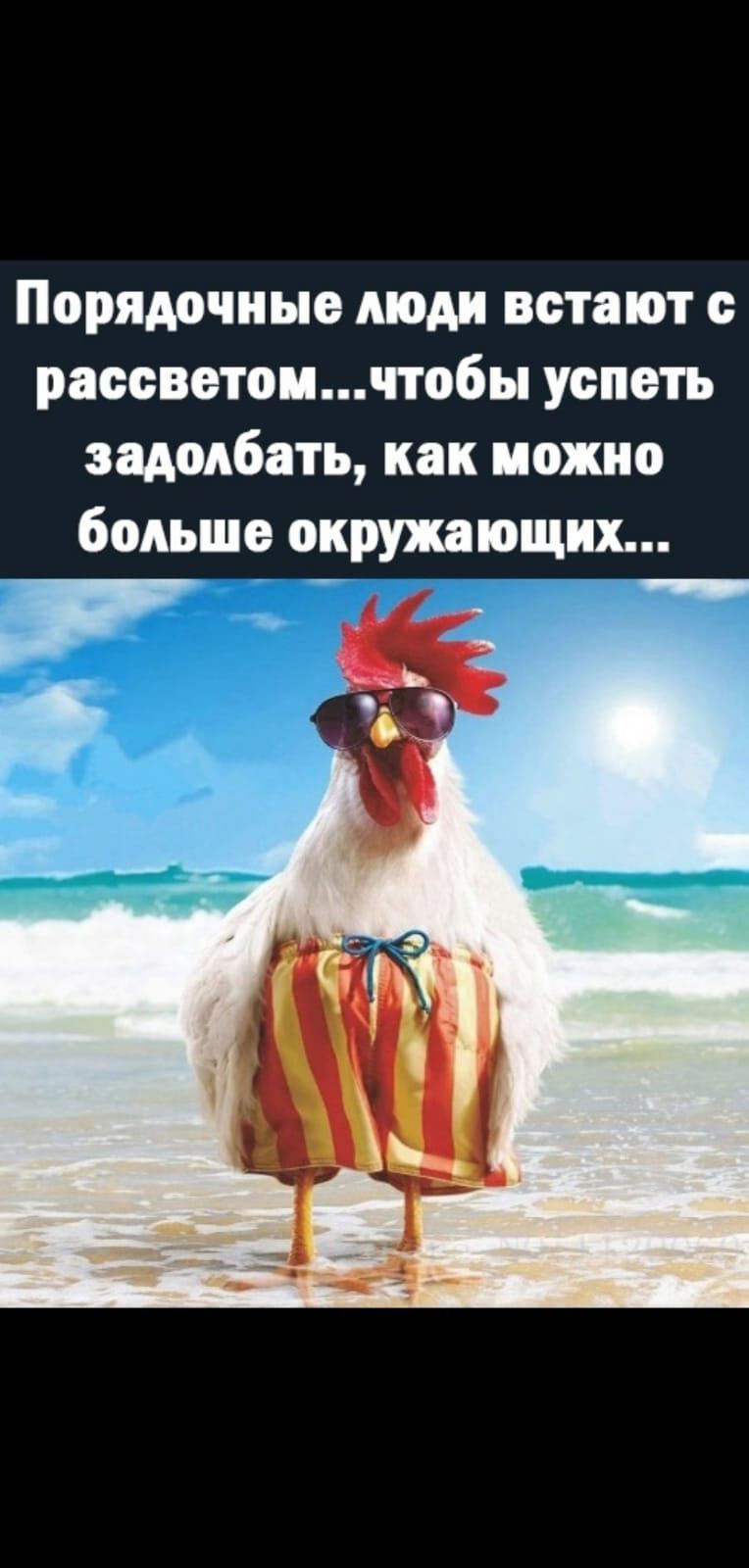Порядочиыо тм встают рассветомчтобы успеть эщмбать как важно большо окружающих Ы