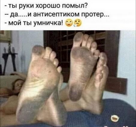 ты руки хорошо помыл _ Да И антисептиком протер мой ты умничка