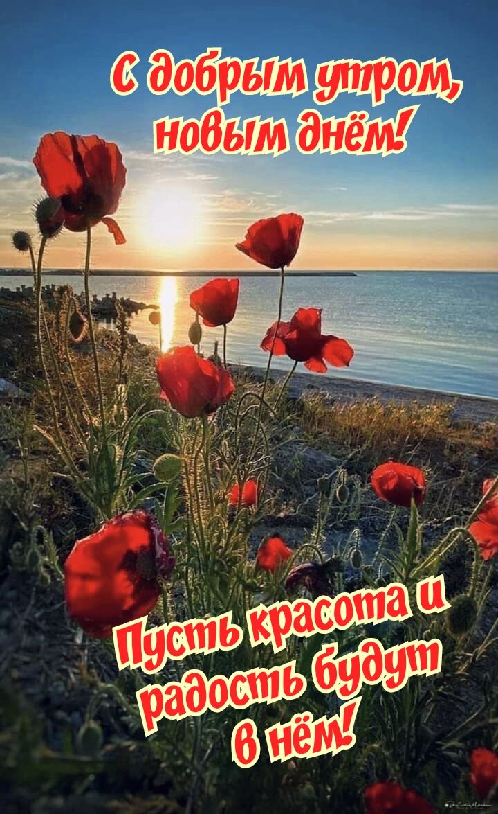 _ е_д дрьімНро нобым днём