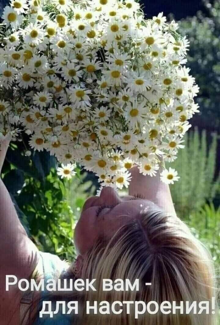 я и н е о т с а н