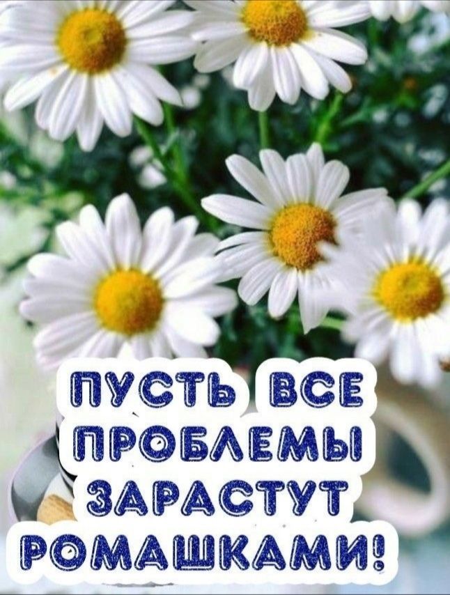 ЙУСТЬ ВЕ ЦЙРБАЕМЫЧ у ЗАРАТУШ МАШКАММЁ