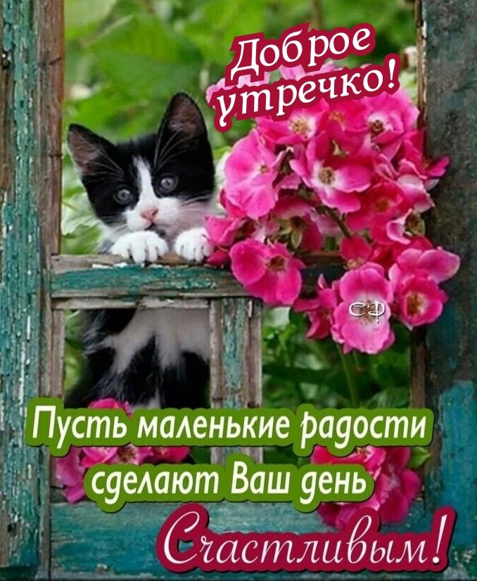 г Пусп13маленькие рауости 4 суелают Ваш уець