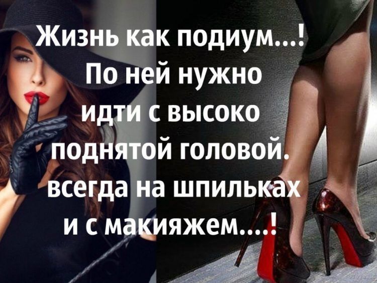 і ЖизнЧк подиум Пон й нужно и свысоко _ подд й гоповои всегда а шпиль и с м купяжем