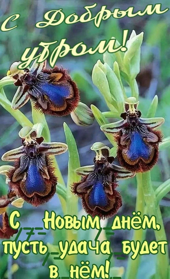 _ с с Ёънъвьі м Ёнё _х _ _ пустьуёё йде в нёмЬ