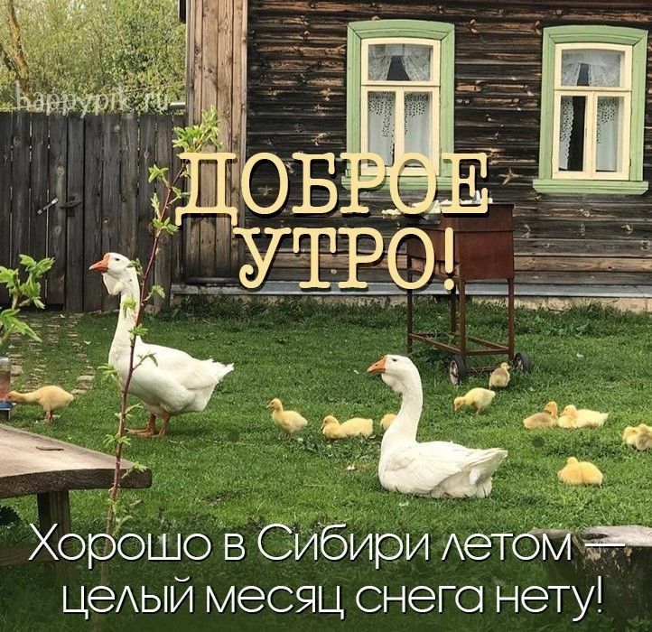 ХорбШо в Сибири АетбКЖ цеАый месяц снега нету