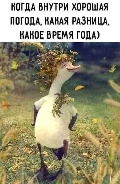 НОГДА ВНУТРИ ХОРОШАЯ ПОГОДА НАНАЯ РАЗНИЦА НАНОЕ ВРЕМЯ ГОДА