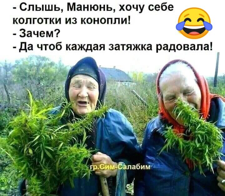 Слышь Манюнь хочу себе колготки из конопли Зачем да чтоб каждая затяжка радовала