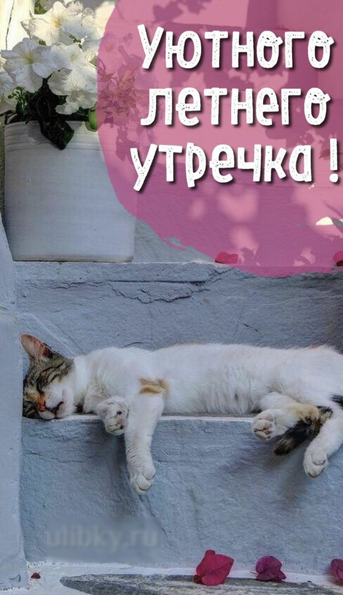 УЮТНОГО летнего ёУТРВЧКЦ 31 п