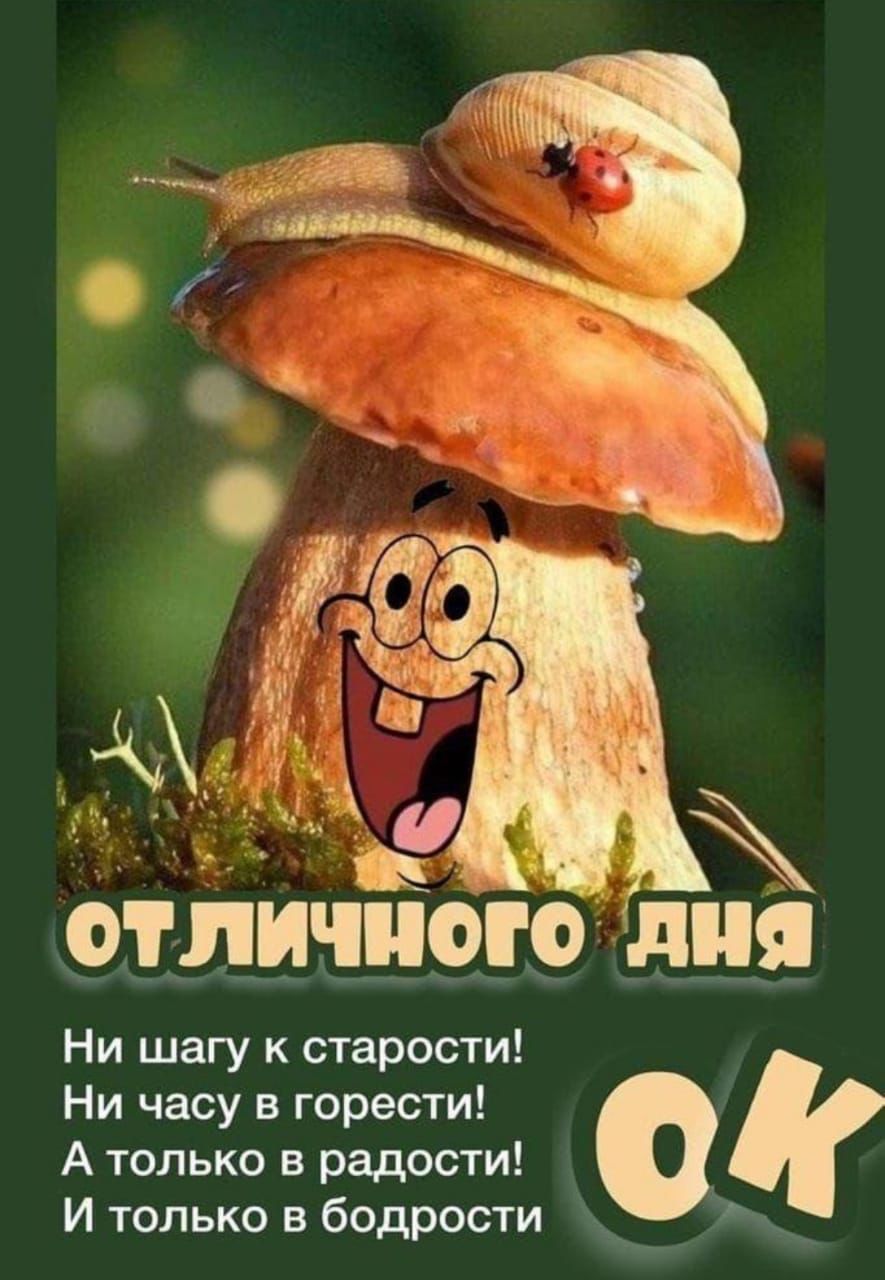ы ційширше Ни шагу к старости Ни часу в горести А только в радости И только в бодрости