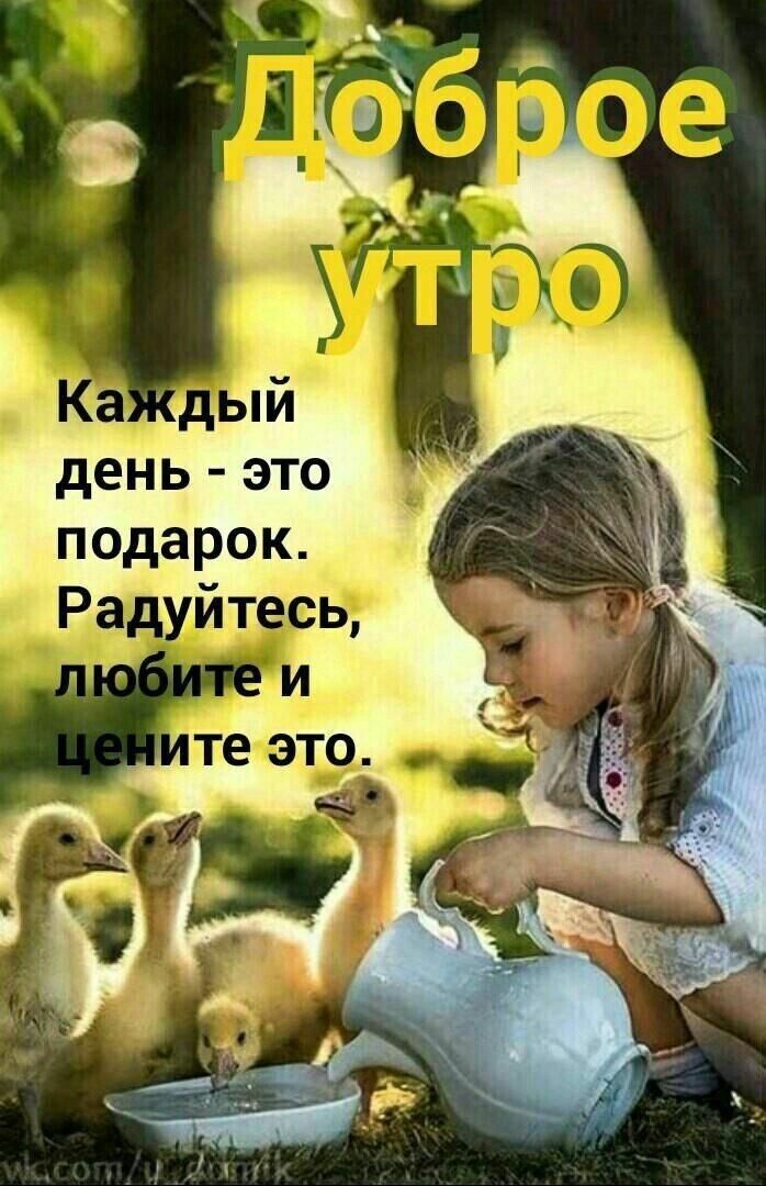 день это подарок