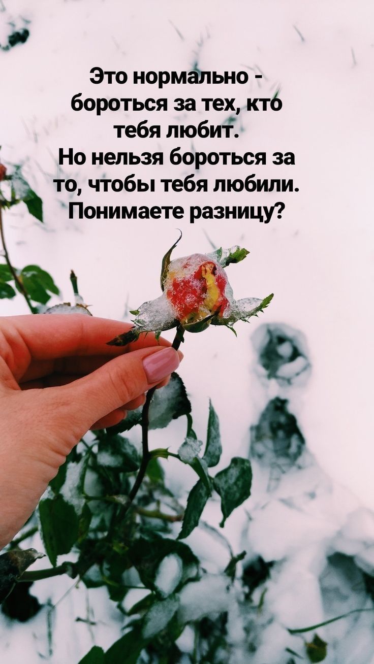 Зто иормётьно бороться за тех кто тебя любит Но нельзя бороться за то чтобы тебя любили Понимаете разницу