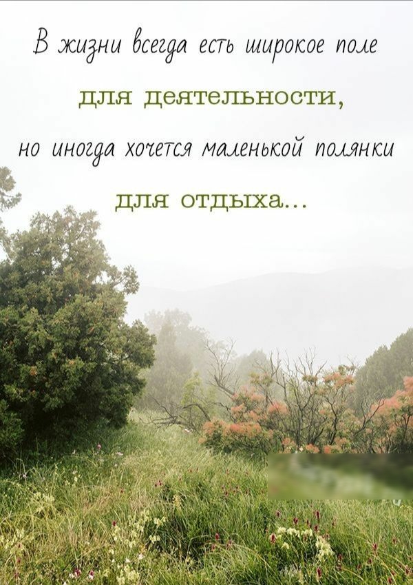 В жидны байда ет широкое ище для деятельности но иногда хит маленькой томики для отдыха