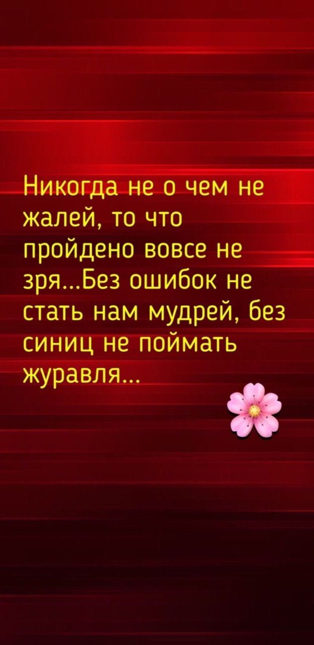 Никогда не о чем не жалей то что пройдено вовсе не зряБез ошибок не стать нам мудрей без синиц не поймать журавля