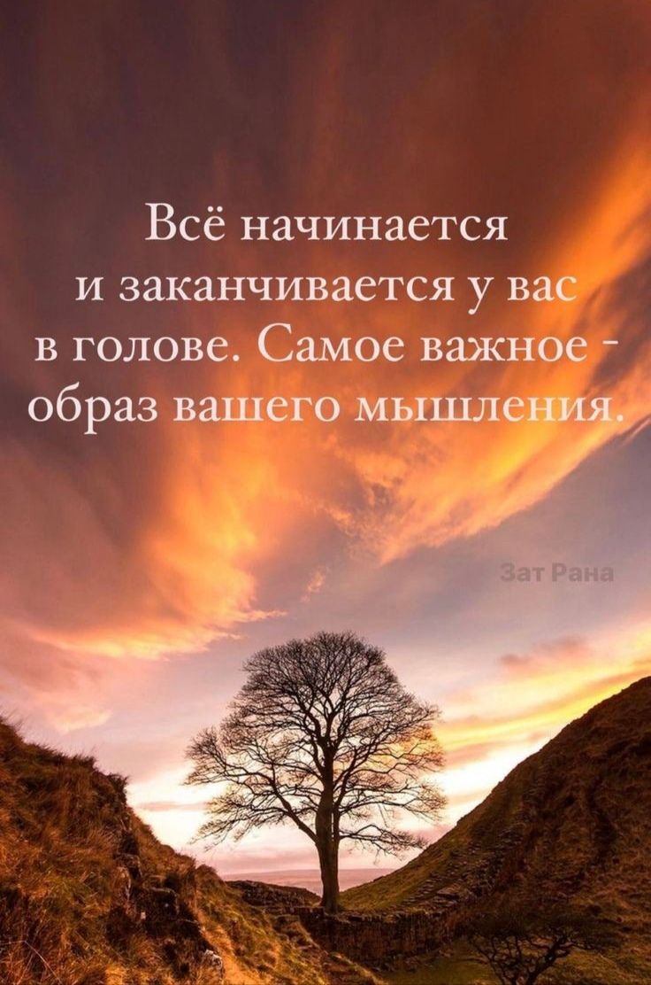 Всё начинается и заканчивается у вас в голове Самое важное образ вашего иышле