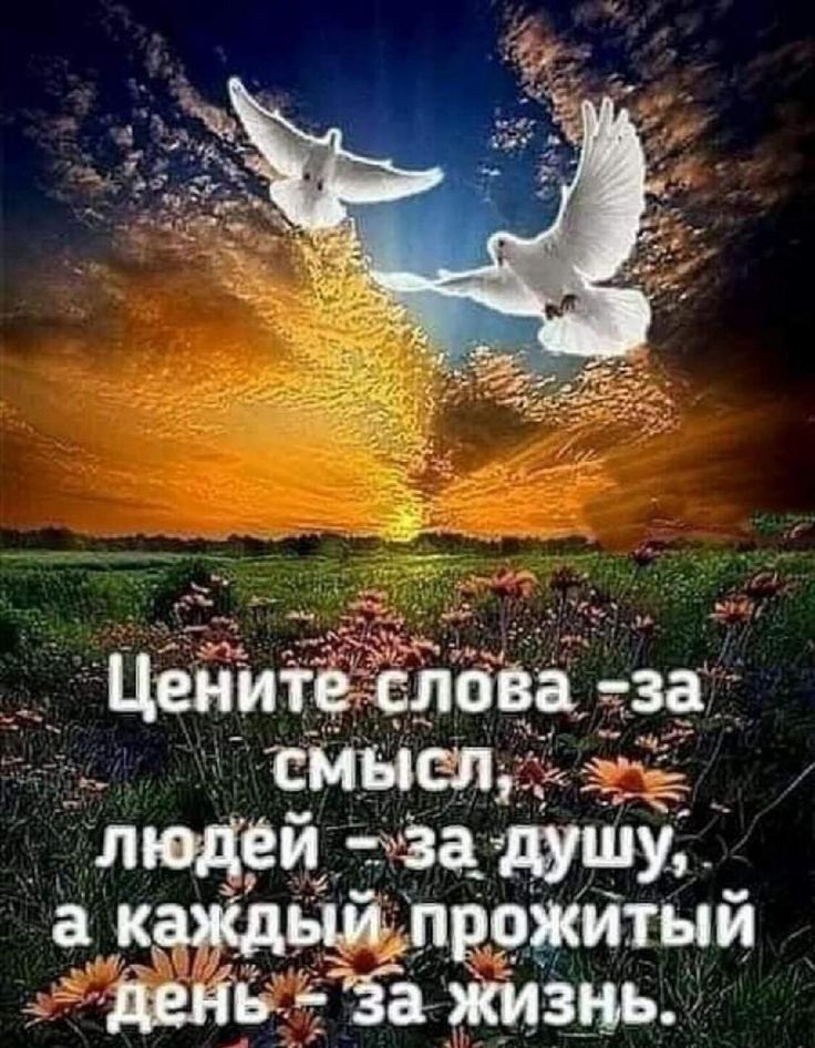 а пашню прожитым Ёідейыдзэ жизнь