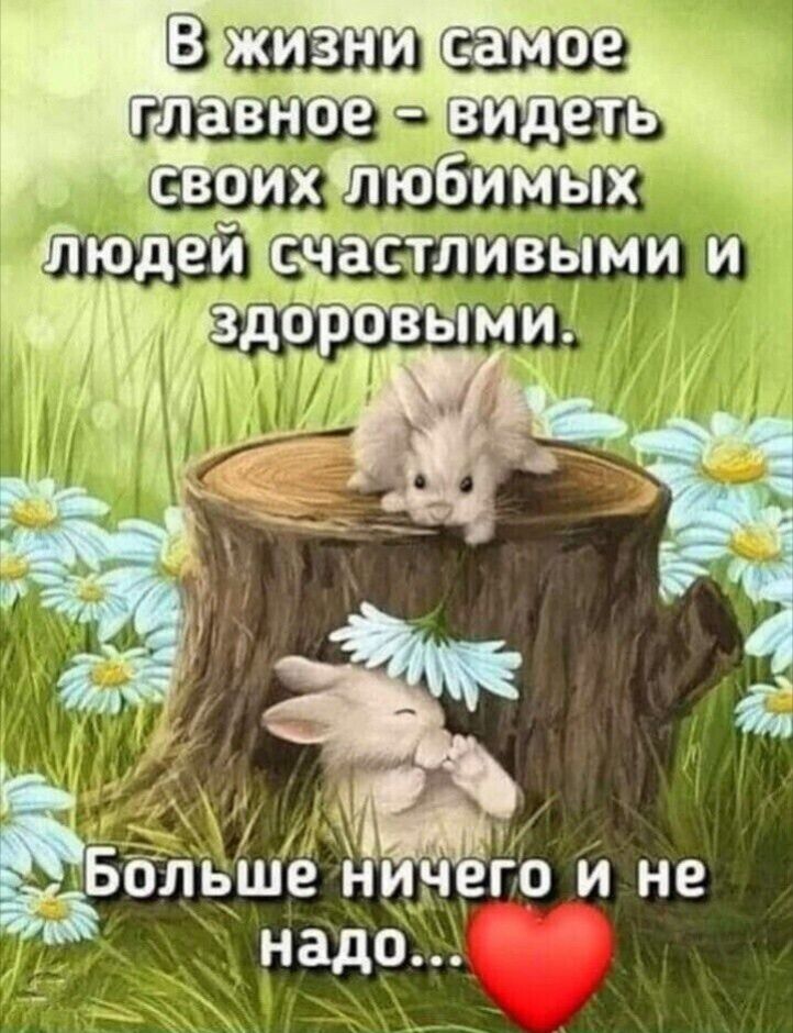 _ т ЕБбльше н и по и не надо