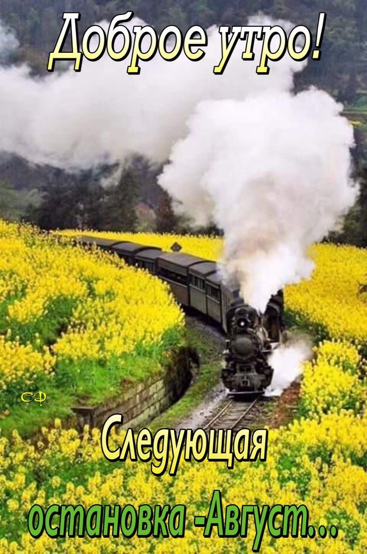 СлешЙЁя