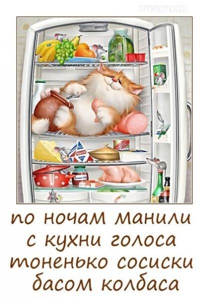 ио ночам м ними с кухни гОАоса тоненоко сосиски басом колбаса