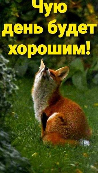 ЧУЮ день будет хороший ЕЁ