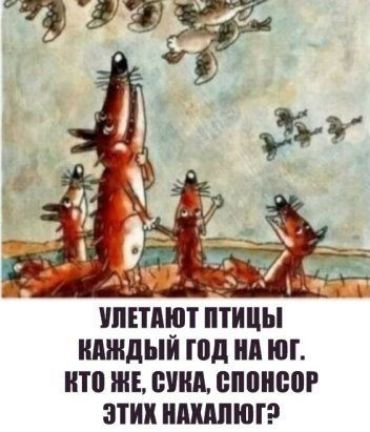 ПЕТАЮТ ПТИЦЫ КАЖДЫЙ год Нд ЮГ П0 ЖЕ ВПШ БПШЮШ ЭТИХ МАПП