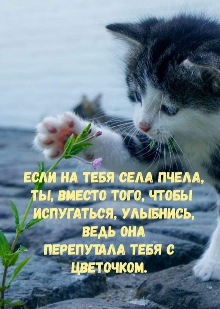 пд ПЧЕАА пишим тпяс _тпочком