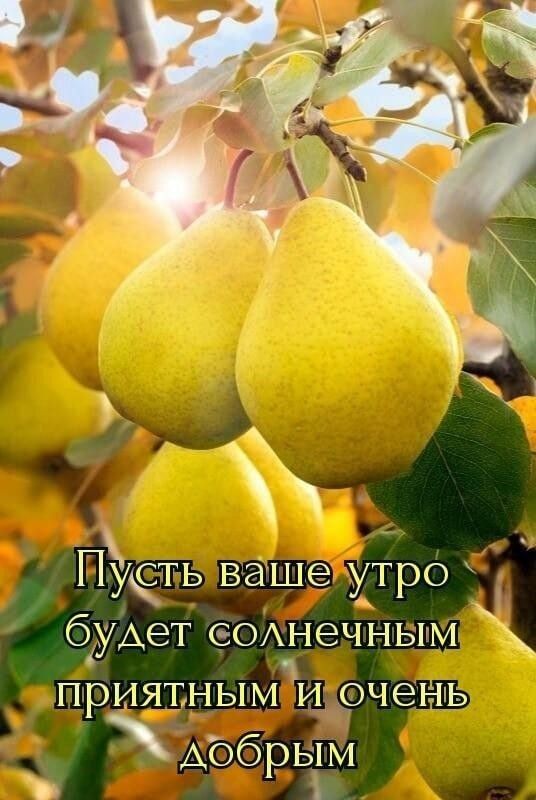 уЁт ь ваше ихтро будет сеонечным ПРИЯЪНЬШМЩрчеНЬ Аббрвім