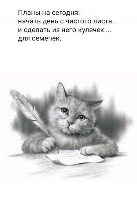 Планы на сегодня начать день с чистого листа и сделать из него кулечек для семечек