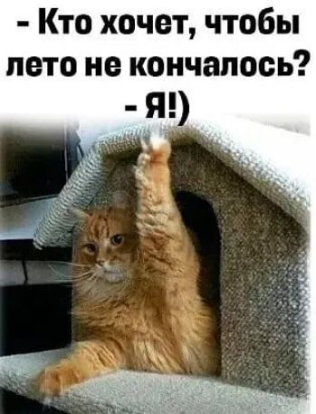 Кто хочет чтобы лето не кончалось Я