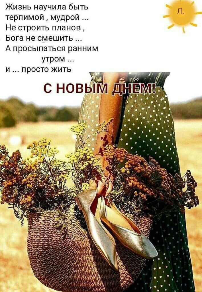 Жизнь научила быть терпимой мудрой Не СТрОИТЬ ПЛЗНОЕ Бога не смешить А просыпаться ранним утром и просто жить с новьи