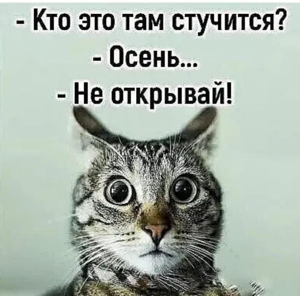 Кто это там стучится Осень Не открывай