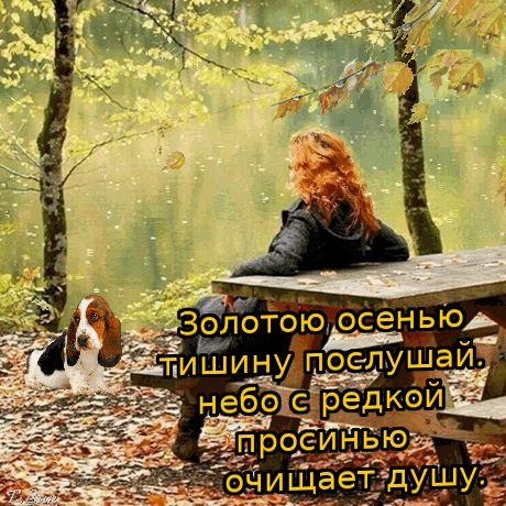 небо слред В росинью ч