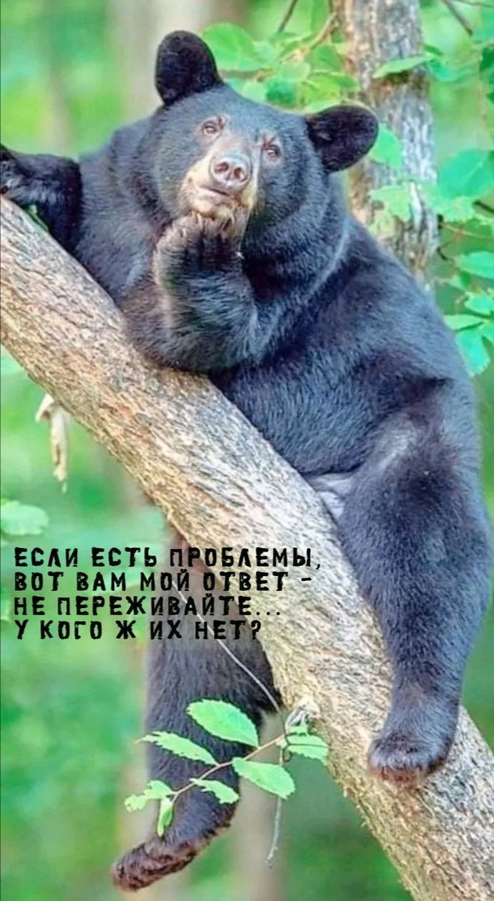 если есть ват им М не пвгвж у кого ж