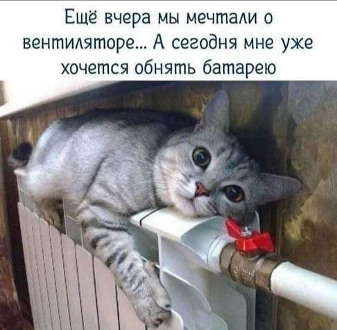 Ешё вчера мы мечтали о вентимторе А сегодня мне уже хочется обнять батарею