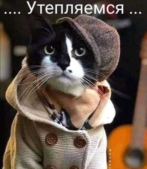 Утепл_р__емся