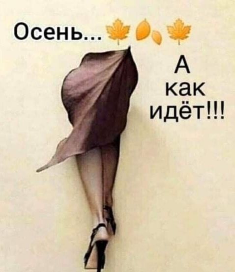 Осень кёк идет
