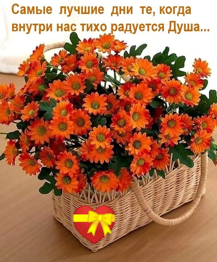 Самые лучшие дни те когда внутри нас тихо радуется Душа