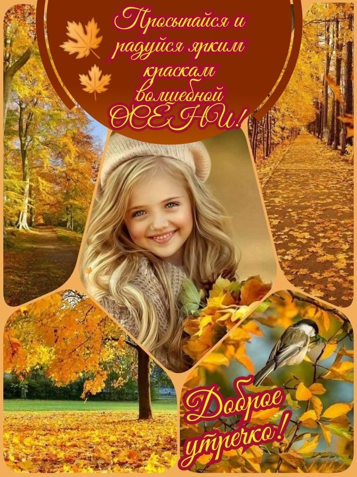 шсдтдйш